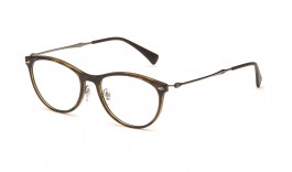 Nedioptrické brýle Ray Ban 7160 54